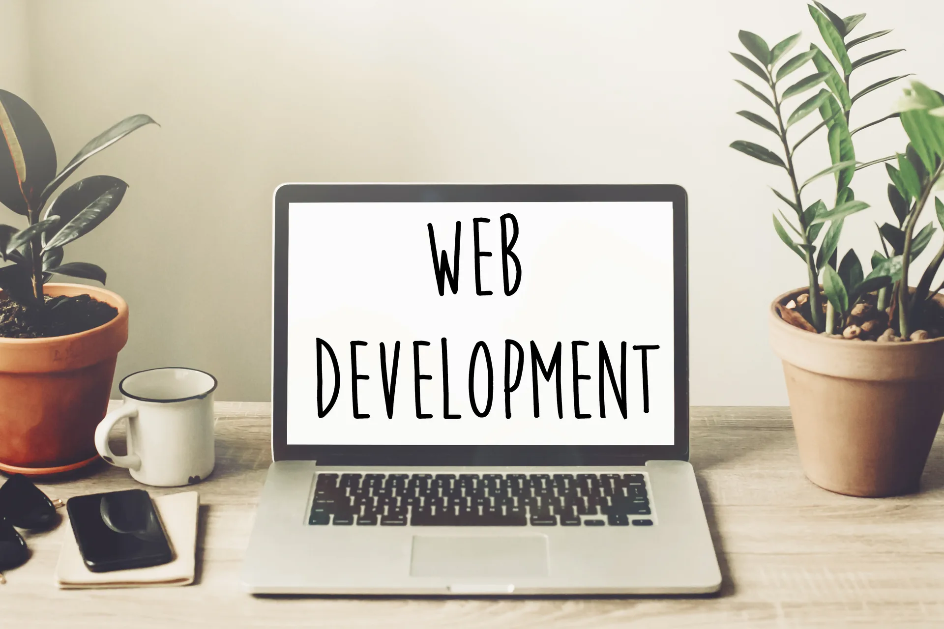 web-development-services